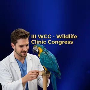 Imagen de portada para Curso online III WCC - ESP - Vet Play