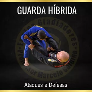 Imagem de capa para o Curso online Curso Guarda Híbrida Ataques e Defesas 