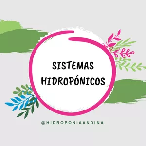 Imagen de portada para Curso online II - SISTEMAS HIDROPÓNICOS