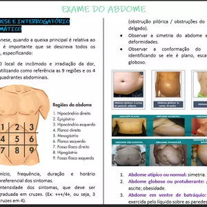 Imagem de capa para o Ebook Semiologia do Abdômen. 