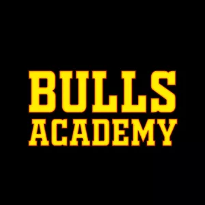 Imagem do curso Bulls Academy