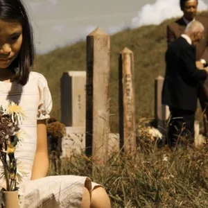 Imagem de capa para o Curso online Filmes Antigos