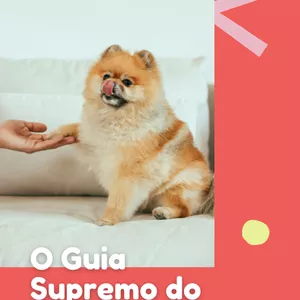 Imagem de capa para o Ebook O Guia Supremo do Spitz