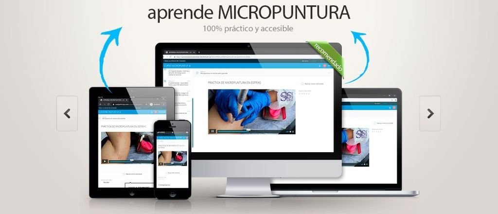 CURSO DE MICROPUNTURA EN ESTRÍAS