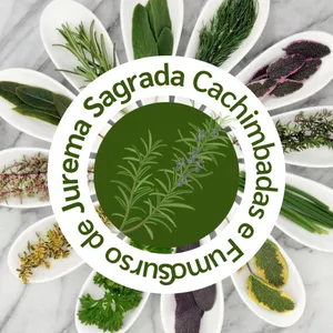 Imagem do curso Curso de Jurema Sagrada "Cachimbadas e Fumos"