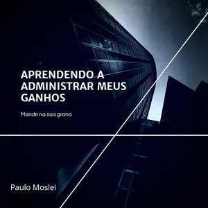 Imagem de capa para o Ebook Financiando meus ganhos