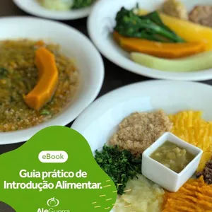 Imagem de capa para o Ebook Guia Prático de Introdução Alimentar