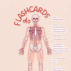Imagem de capa para o Ebook Flashcards de Estudo – Anatomia do Esqueleto Humano