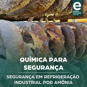Imagem de capa para o Curso online Segurança - Módulo 2: Operação de Emergência e Segurança em Sistemas de Refrigeração Industrial