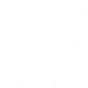 Imagen de portada para Curso online TOTAL ACCESS SUS