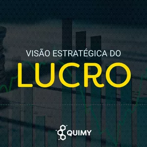 Imagem do curso Visão Estratégica do Lucro