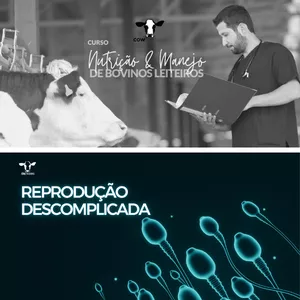 Imagem de capa para o Curso online Nutrição e Manejo de Vacas no Período de Transição + Reprodução Descomplicada