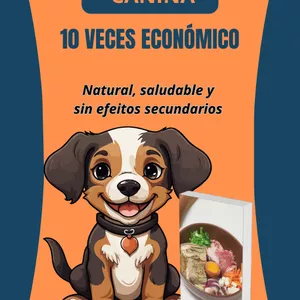 Imagen de portada para Curso online 12 RECETAS CANINA 10 VECES ECONÓMICO