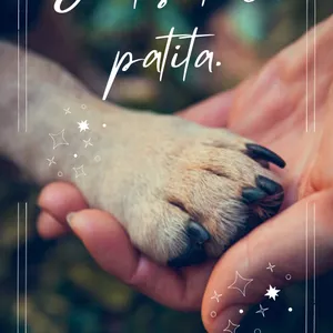 Imagen de portada para Ebook Juntos de la patita