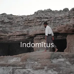 Imagen de portada para Curso online Indomĭtus