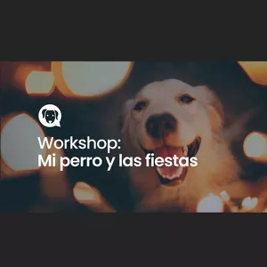 Imagen de portada para Curso online Workshop: Mi Perro y las Fiestas. Cómo evitar problemas con mis perros en las fiestas de fin de año