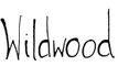 Wildwood School of Doll Making