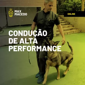 Imagem de capa para o Curso online 04 - Condução de alta performance