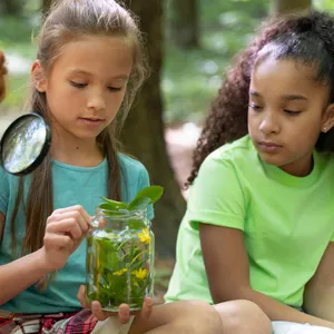 Imagem de capa para o Curso online Metodologia e Prática do Ensino das Ciências Naturais