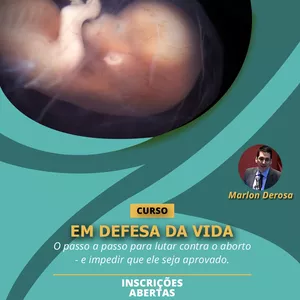 Imagem de capa para o Curso online Defesa da Vida 