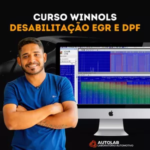 Imagem de capa para o Curso online CURSO DE REMAPE COM SCRIPTS WINOLS 