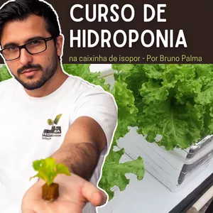 Imagem de capa para o Curso online Hidroponia no Isopor - Por Bruno Palma