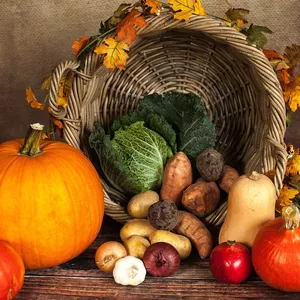 Imagen de portada para Ebook Gluten Free Diet Basics