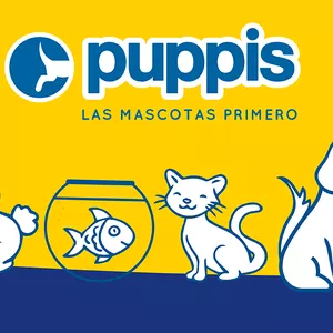 Imagen de portada para Curso online Pupis