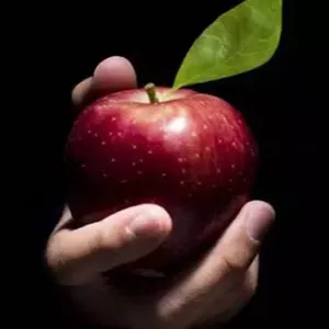 Imagem de capa para o Serviço online A Mordida Certa - Currículo + LinkedIn