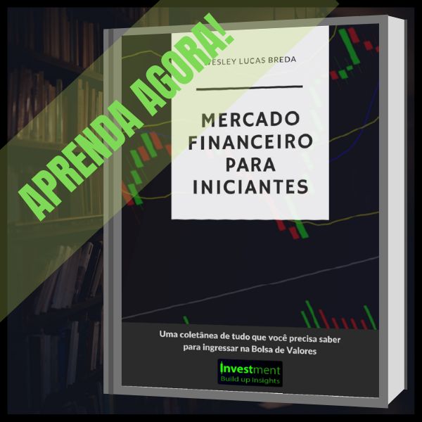 Mercado Financeiro Para Iniciantes Uma Coletanea De Tudo Que
