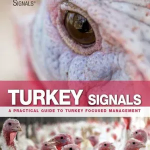 Cover image for Ebook Turkey Signals (English edition) A practical guide to turkey focused management