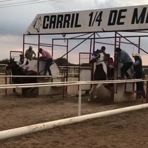 Imagen de portada para Curso online El Bandido vs El Corita 300 Varas