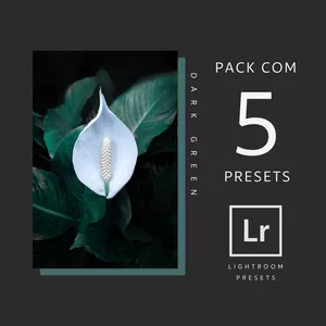 Imagem de capa para o Curso online Preset para Lightroom - Dark Green 