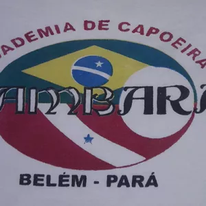 Imagem de capa para o Curso online Sequência de Capoeira 2b