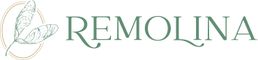 Remolina Support Programs
