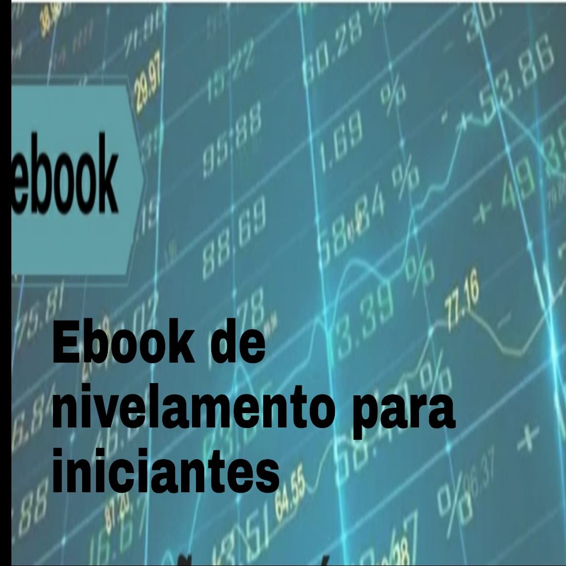 Imagem do curso E-book de nivelamento 