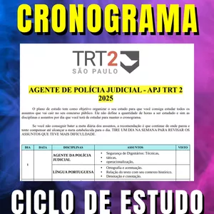 Imagem de capa para o Curso online CRONOGRAMA - AGENTE DE POLÍCIA JUDICIAL - APJ TRT 2 2025