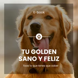 Imagen de portada para Ebook Tu Golden Sano y Feliz - Guía