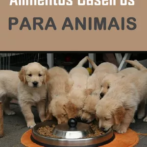 Imagem de capa para o Ebook alimentacao caseira para animais