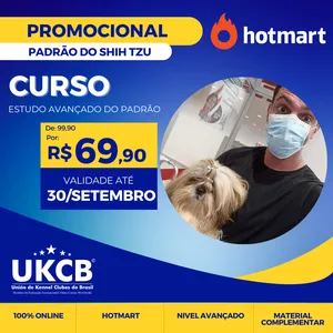 Curso Estudo Avançado do Padrão Shih Tzu 