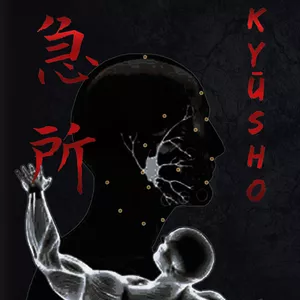 Imagem de capa para o Curso online KYŪSHO - PONTOS VITAIS: Pontos Vitais baseados em Koppō Jutsu e Ninjutsu