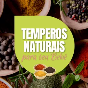 Imagem de capa para o Ebook Temperos Naturais para seu Bebê