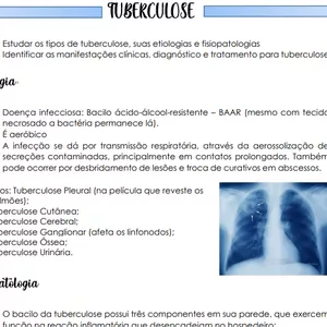 Imagem de capa para o Ebook Tuberculose