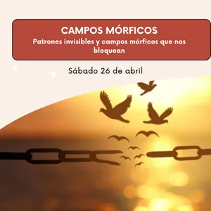 Imagen de portada para Curso online Campos Mórficos: Patrones invisibles y campos mórficos que nos bloquean