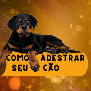 Imagem de capa para o Ebook Como adestrar seu cão