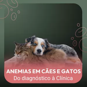 Imagem de capa para o Curso online Anemias em Cães e Gatos: do Diagnóstico à Clínica