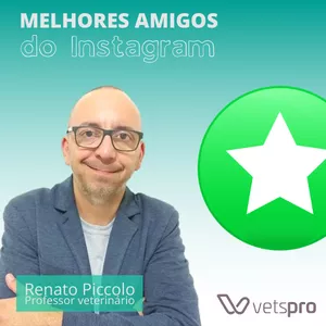 Imagem de capa para o Curso online Melhores amigos