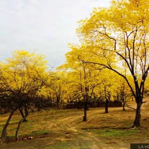 Imagen de portada para Ebook Maktubalvar 