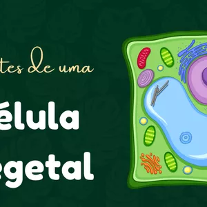 Imagem de capa para o Ebook Resumo - Célula vegetal e seus componentes.