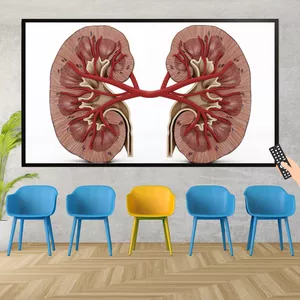 Imagem de capa para o Curso online Vídeos Formato Tv para Nefrologistas 